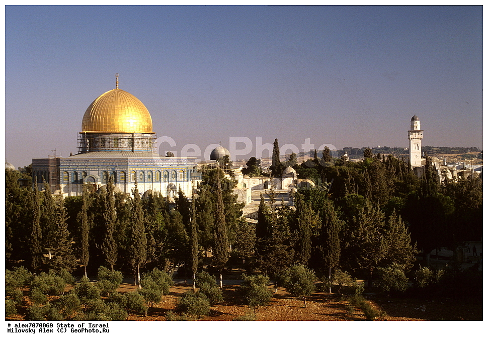 ����� ����� (������ �����), ����������, ���������, �������, ����������� �������