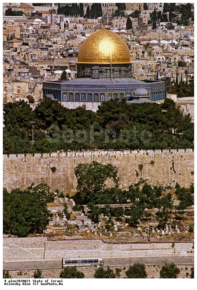 ����� ����� (������ �����), ����������, ���������, �������, ����������� �������