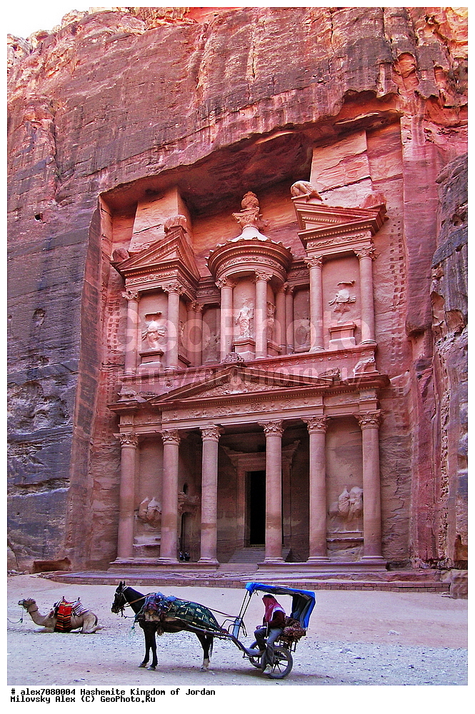  ���-�����, ������������, �����, ��������, ���������� ����������� �����������