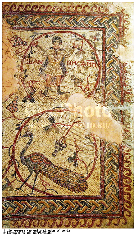 ���� ����, ����, ��������, ���������� ����������� �����������