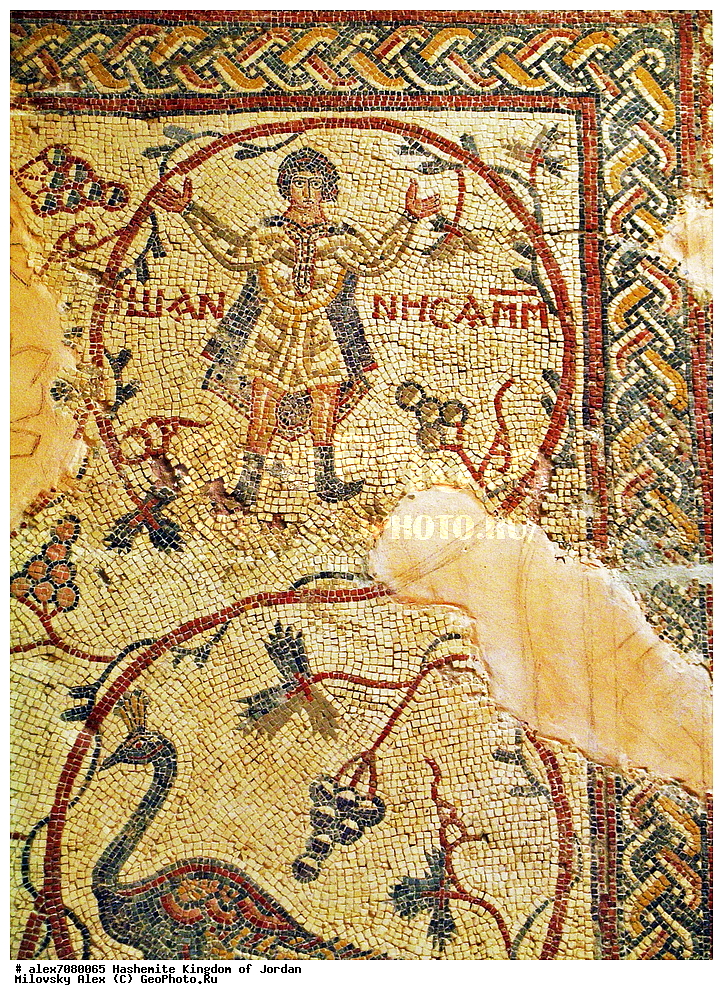 ���� ����, ����, ��������, ���������� ����������� �����������