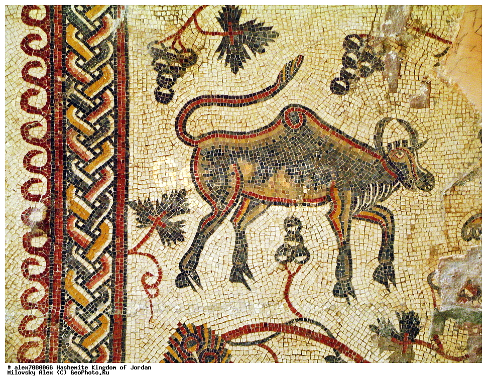 ���� ����, ����, ��������, ���������� ����������� �����������