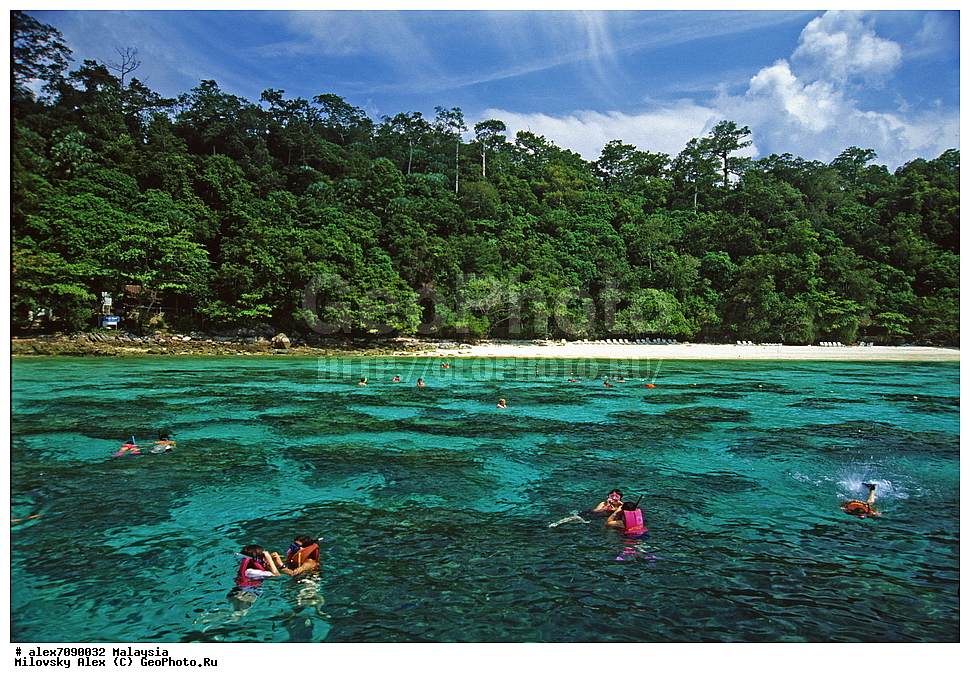  ���������, ��������, ��������