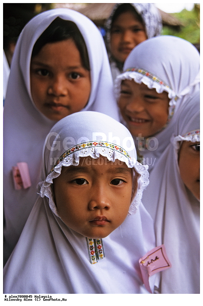 ����, ��������