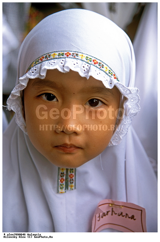 ����, ��������