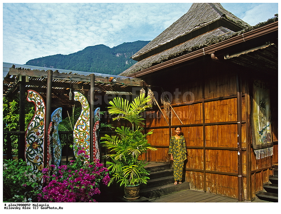 ��������, ��������