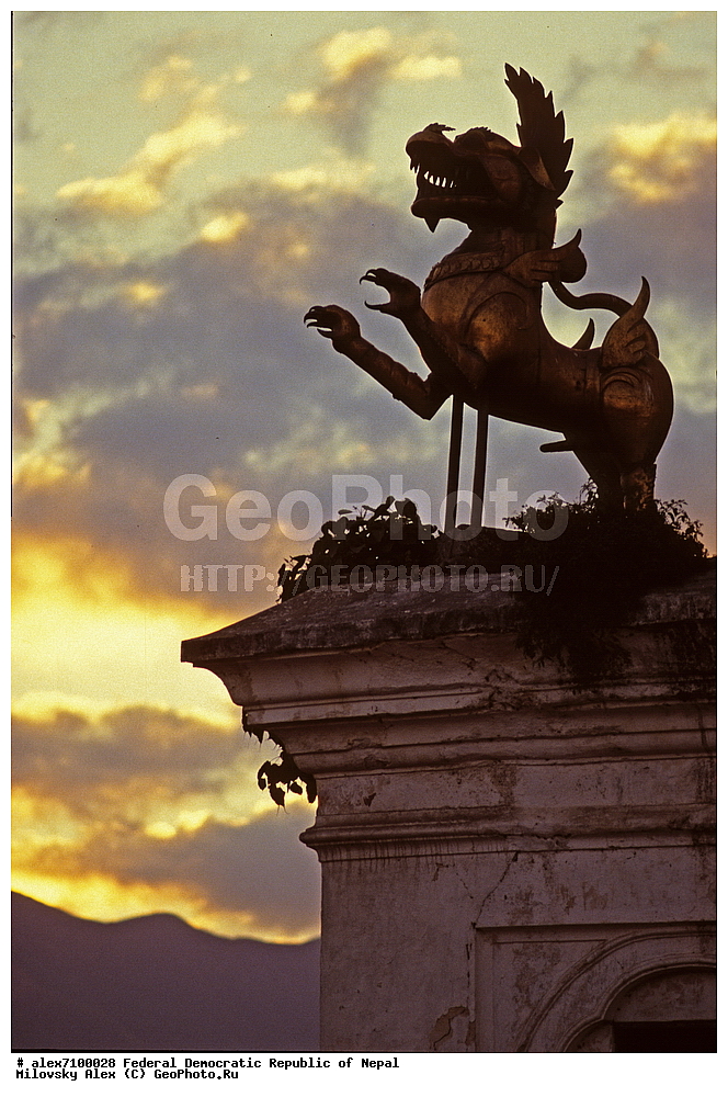 �����, �����, ������������ ��������������� ���������� �����