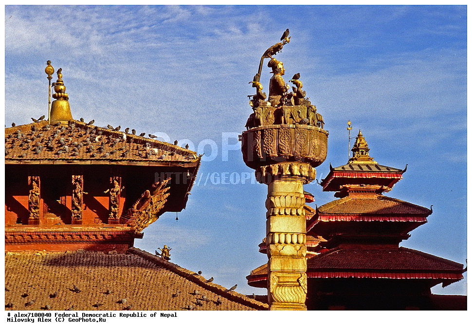 ��������, �����, ������������ ��������������� ���������� �����