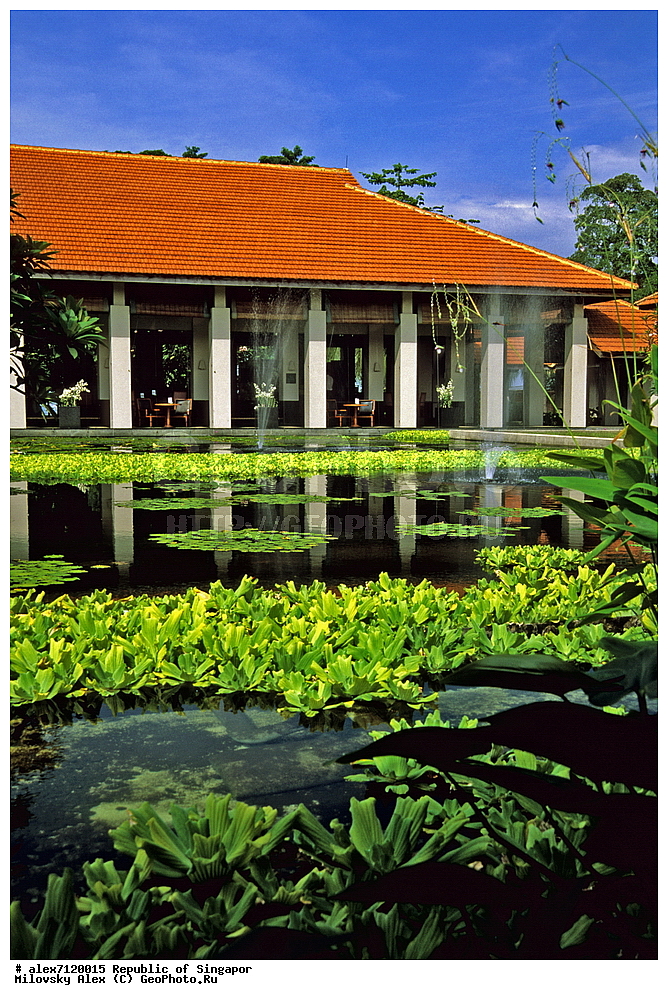 �����, ������, �������, �������-����, �������� ���������� ��������