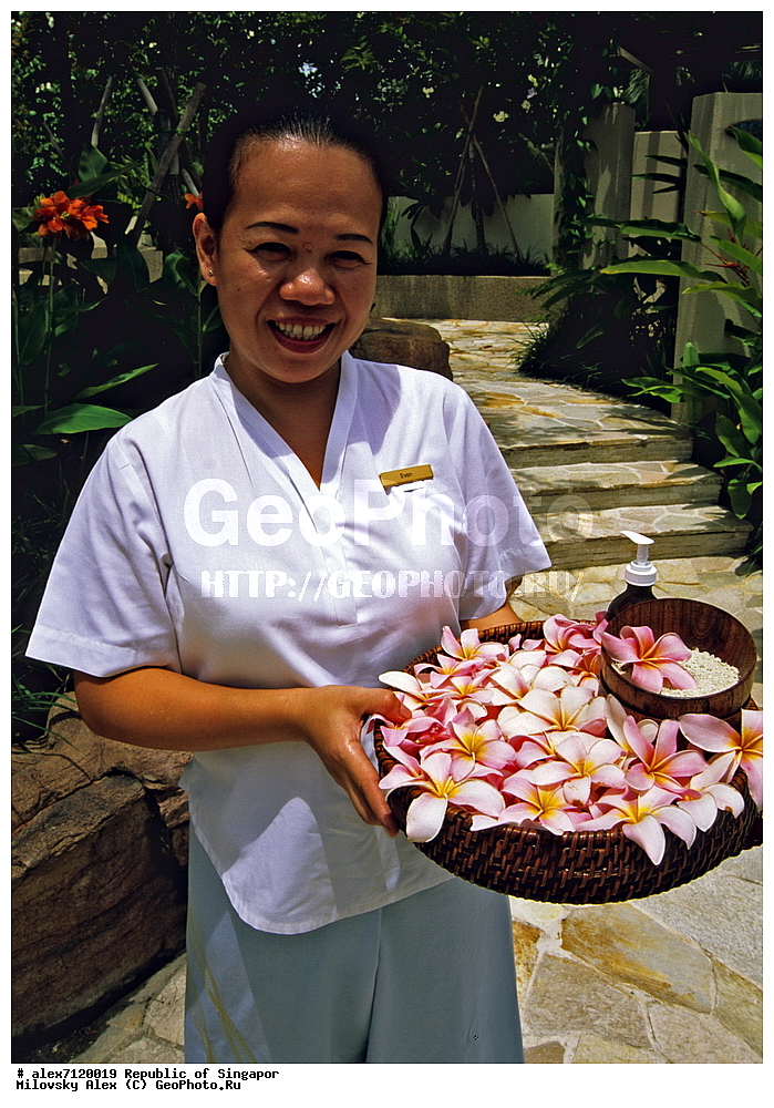 �����, ������, �������, �������-����, �������� ���������� ��������