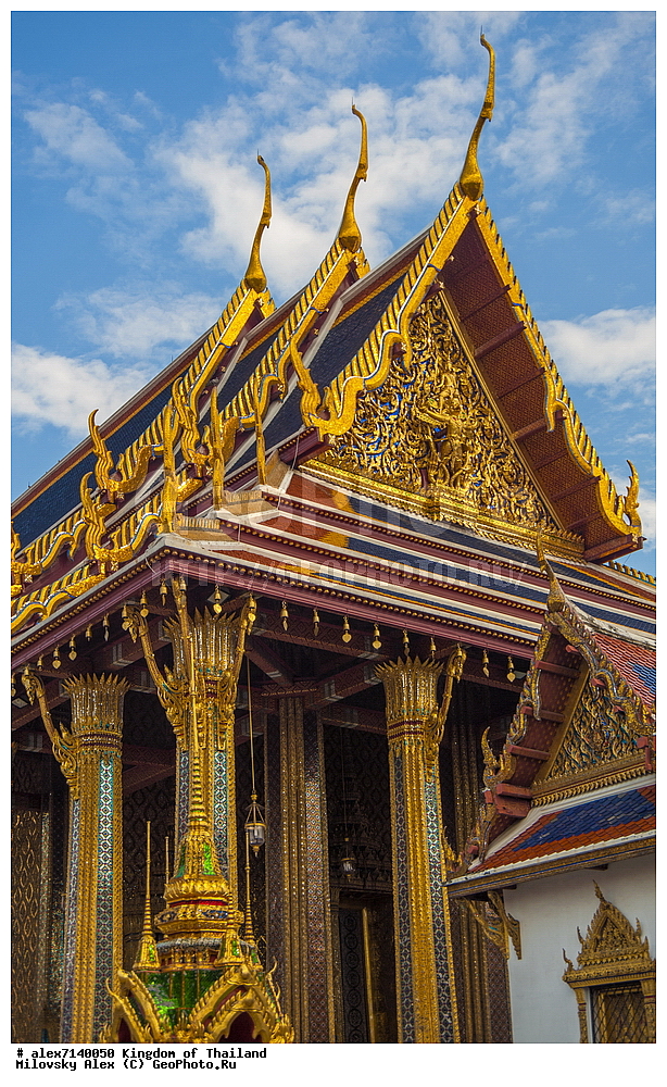 ��� �������, ���� ����������� �����, �������, ��������, �������, ����������� �������, ����