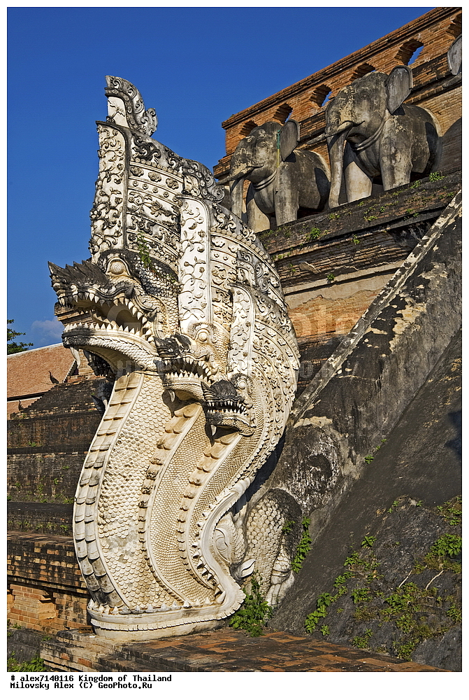 ��� ���� �����, �����, �������, ����������� �������, ����