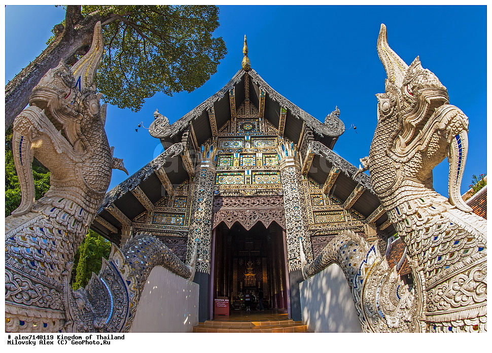 ��� ���� �����, �����, �������, ����������� �������, ����