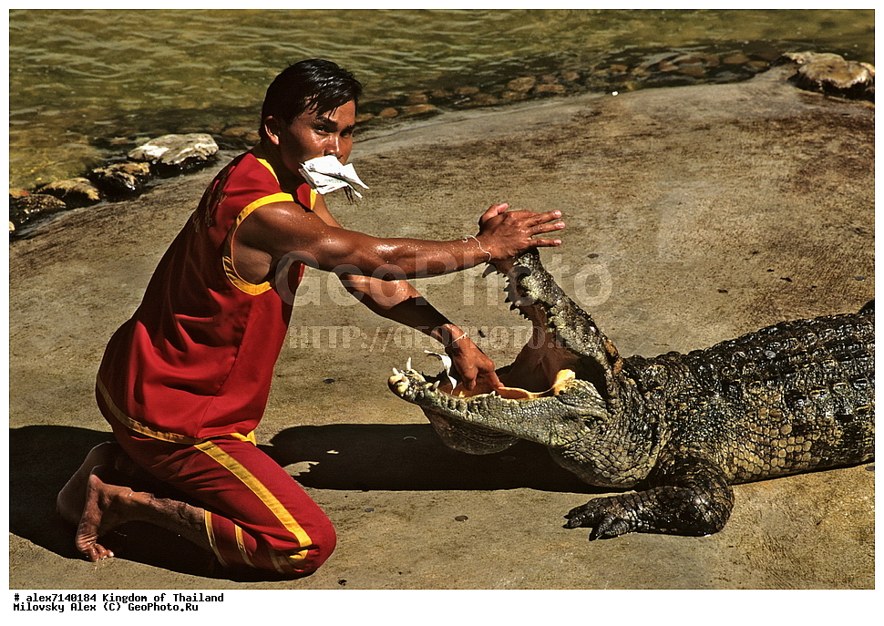 ������������ �����, �������, ����������� �������, ����