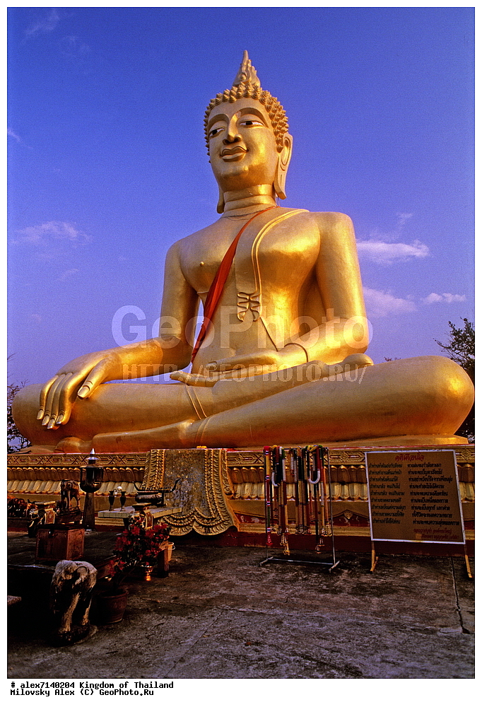  ����������� ����, �������, ������, ��������, �������, ������, �������, ����������� �������, ����