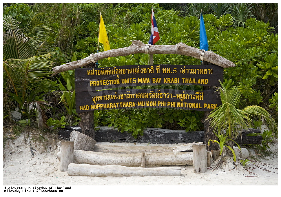 ����� ����, �������, ������, ������, ���-���, ������, �������, ����� ������, ���� ������, ���������, �������, ����������� �������, ����