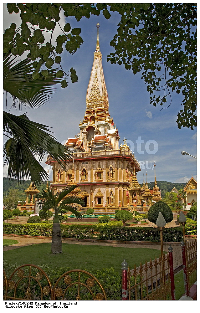 ���������� �����, ������, �������, ����� ������, ���� ������, ���������, �������, ����������� �������, ����