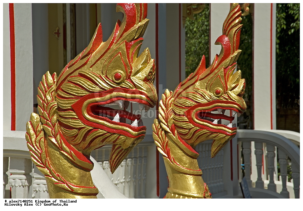 ���������� �����, ������, �������, ����� ������, ���� ������, ���������, �������, ����������� �������, ����