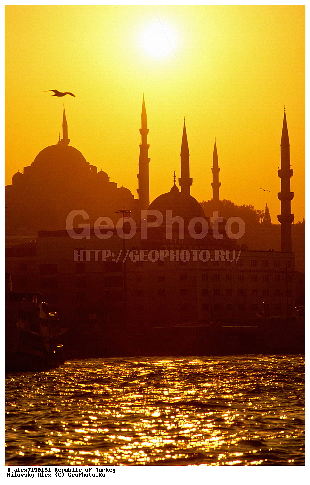 ������, ������, �������, ������, �������� ����������