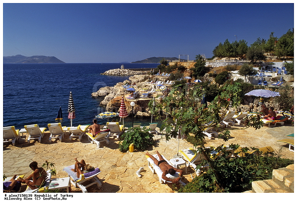 ���, �����, ������, �������� ����������