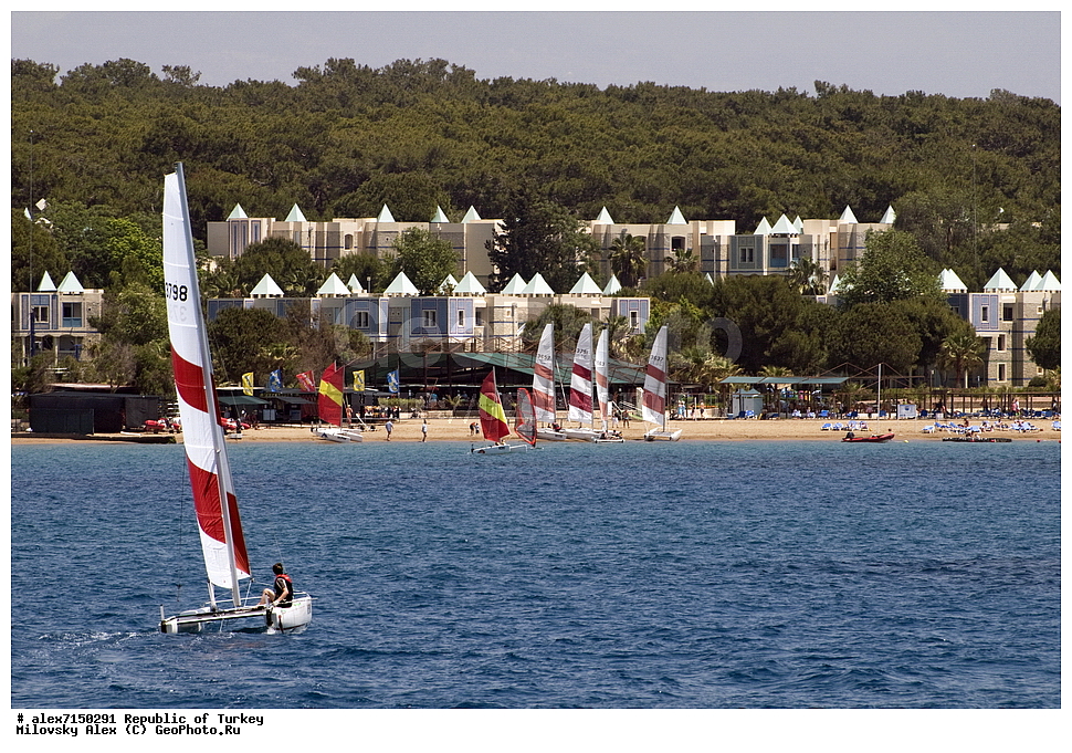 ���������, ����, ������, �������� ����������