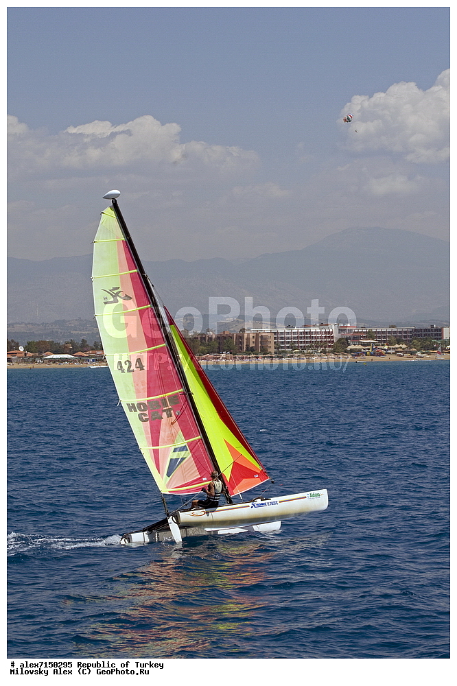 ���������, ����, ������, �������� ����������