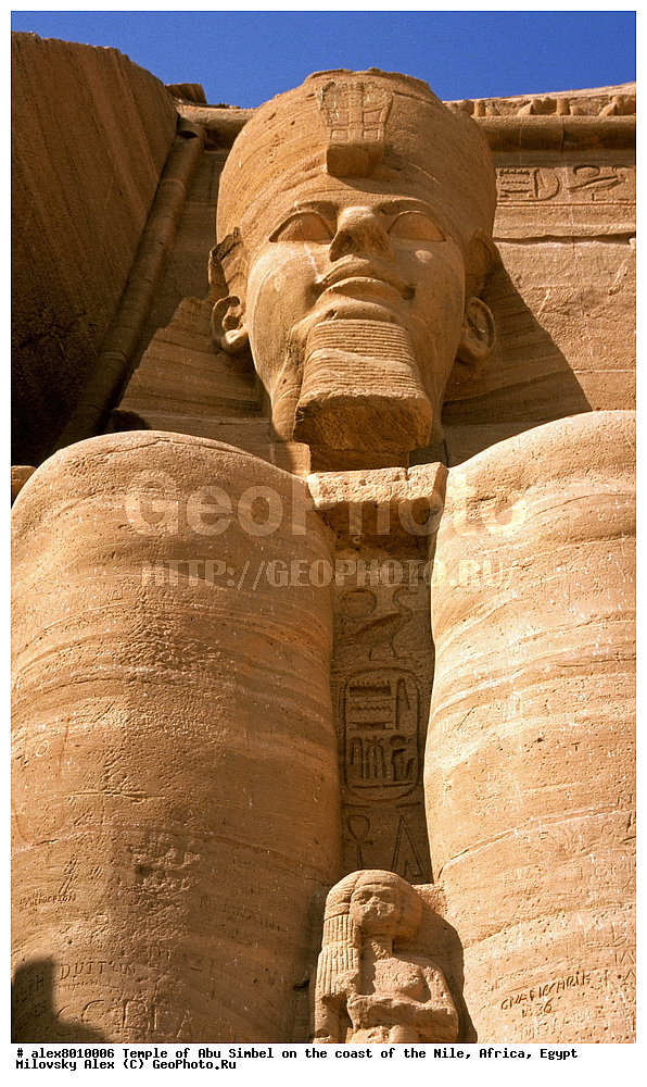 ����, ���-������, �����, ���, ������, ������