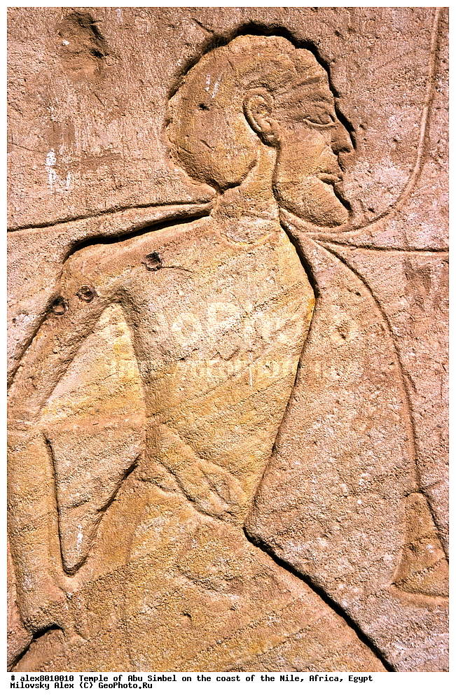 ����, ���-������, �����, ���, ������, ������