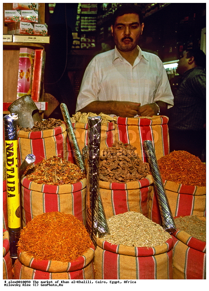 �����, ��� ���-������, ����, ������, ������ 