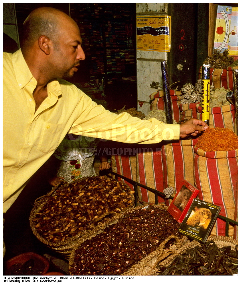 �����, ��� ���-������, ����, ������, ������ 