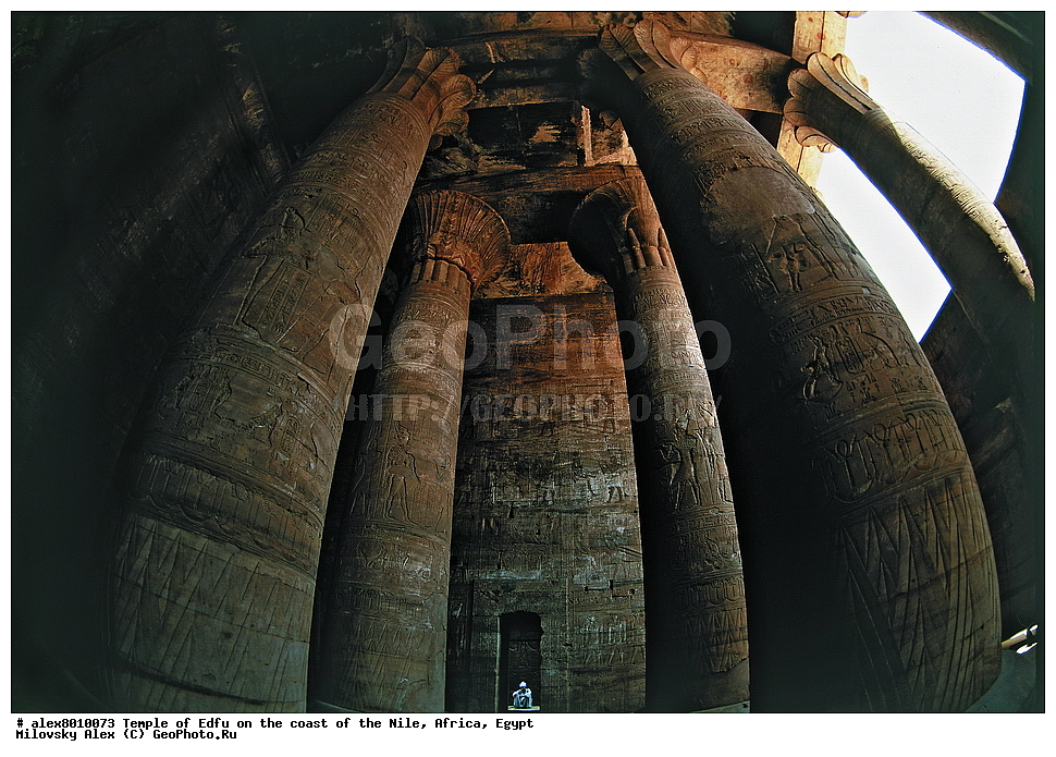 ����, ����, �����, ���, ������, ������