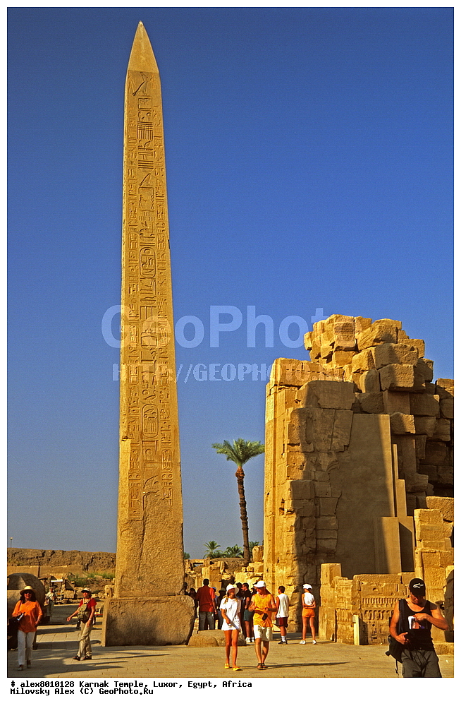 ���������� ����, ������, ������, ������