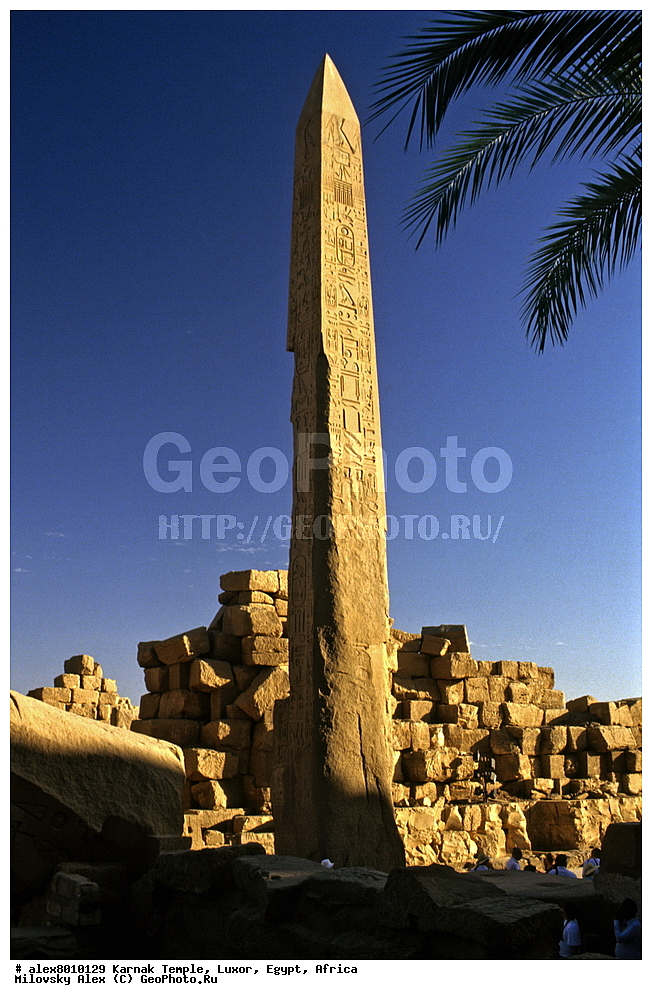 ���������� ����, ������, ������, ������