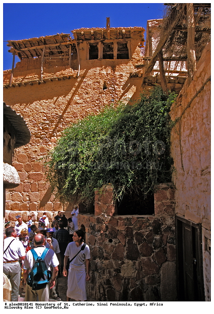 ���������, ������ ���������, ��������� ����������, ������, ������