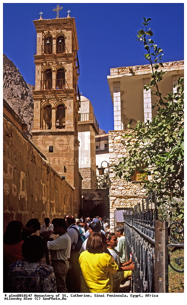 ���������, ������ ���������, ��������� ����������, ������, ������