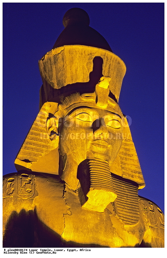 ���������� ����, ������, ������, ������, ����