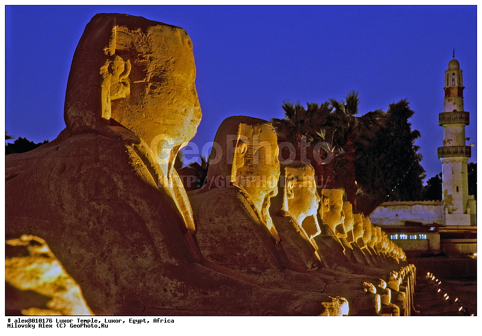 ���������� ����, ������, ������, ������, ����