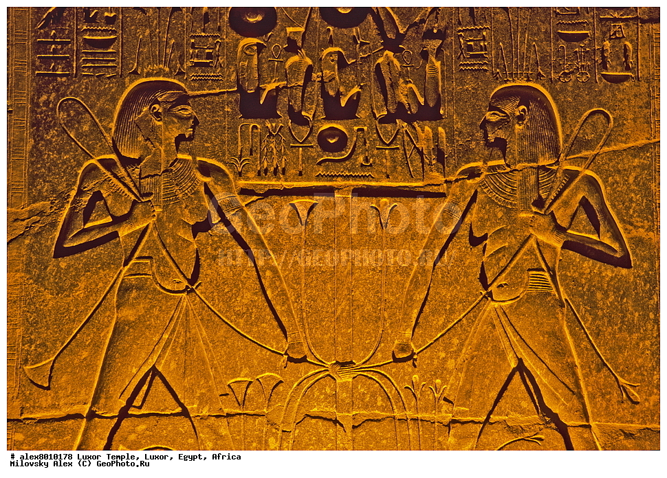 ���������� ����, ������, ������, ������, ����