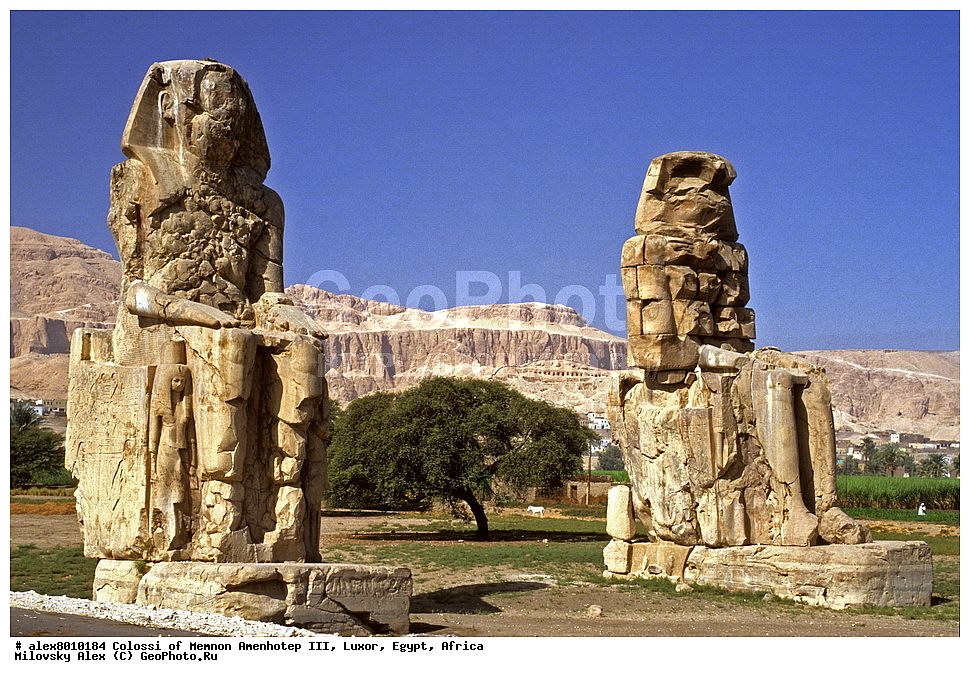 ������, �������, ���������� III, ������, ������, ������