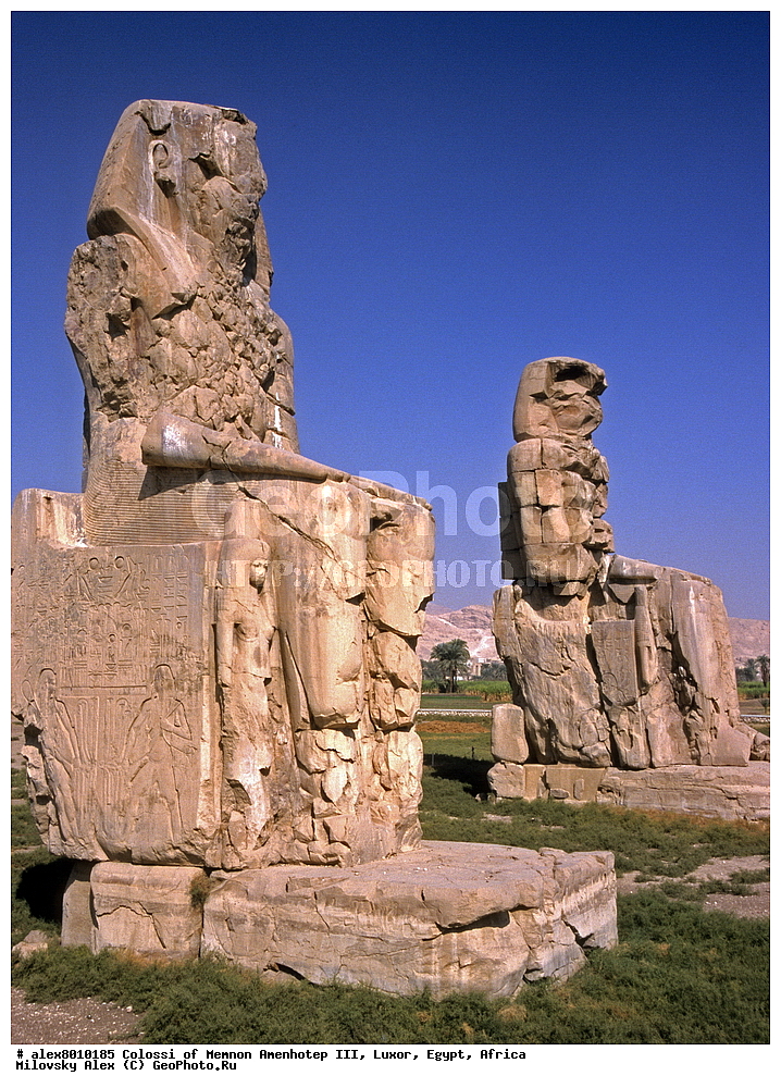 ������, �������, ���������� III, ������, ������, ������