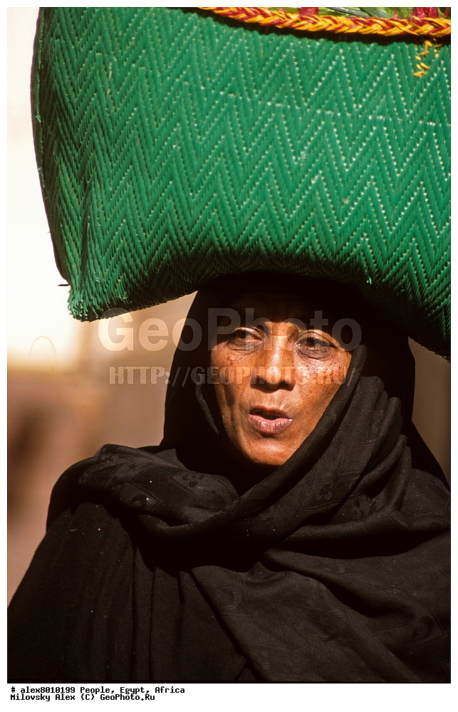 ����, ������, ������