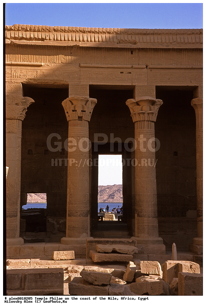 ����, ����, �����, ���, ������, ������