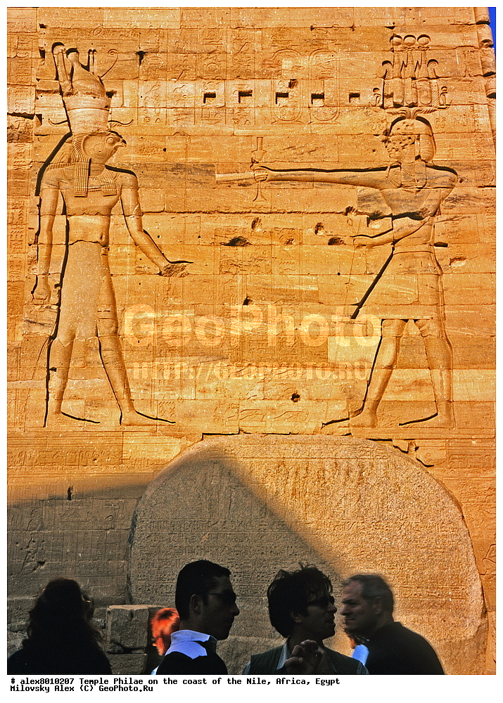 ����, ����, �����, ���, ������, ������