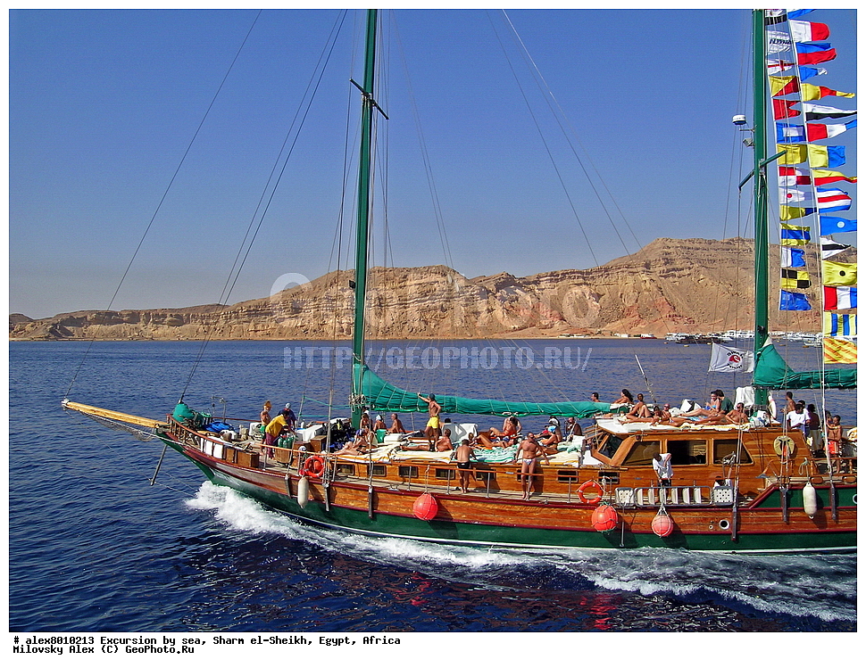 ����, ������� ����, ���������, ����-��-����, ������, ������