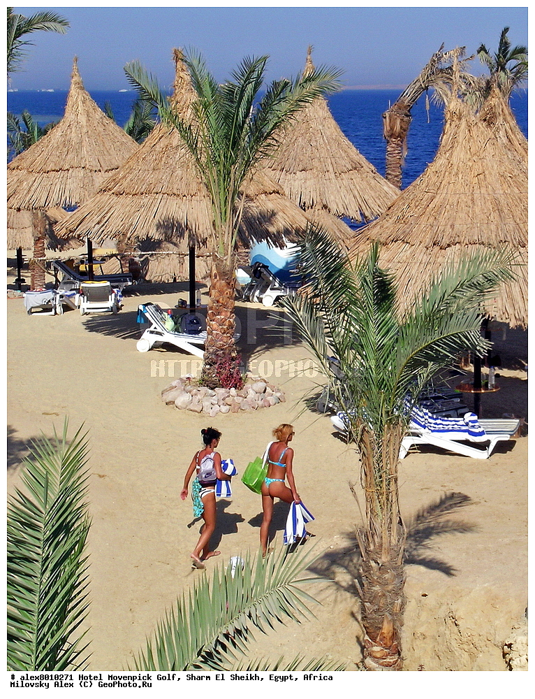 �����, Movenpick Golf, ����-��-����, ������, ������