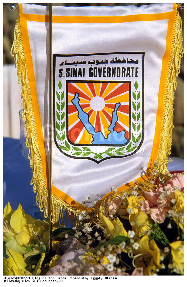 ����, ��������� ����������, ������, ������