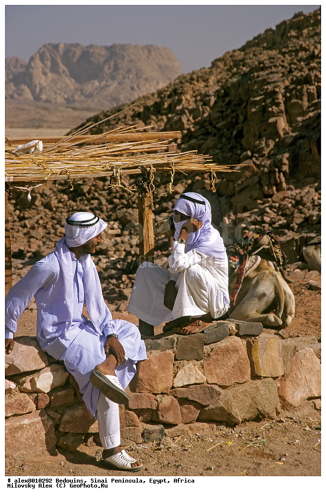 ������, ��������� ����������, ������, ������