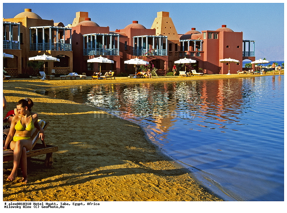 �����, Hyatt, ����, ������, ������