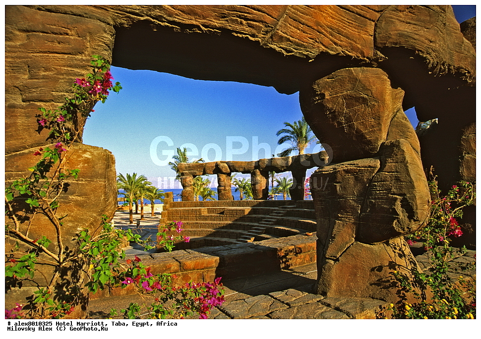 �����, Marriott, ����, ������, ������