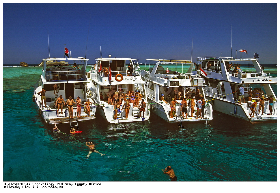 ���������, ������� ����, ������, ������